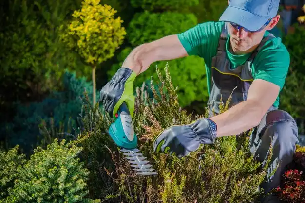 landscaping services Centerport